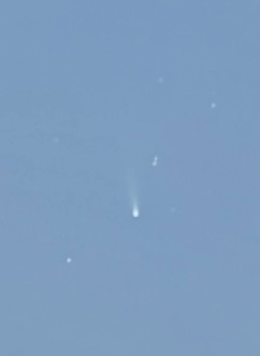 msrachelramsay's tweet image. Comet out to the west! #cometlemmon #comet 💫