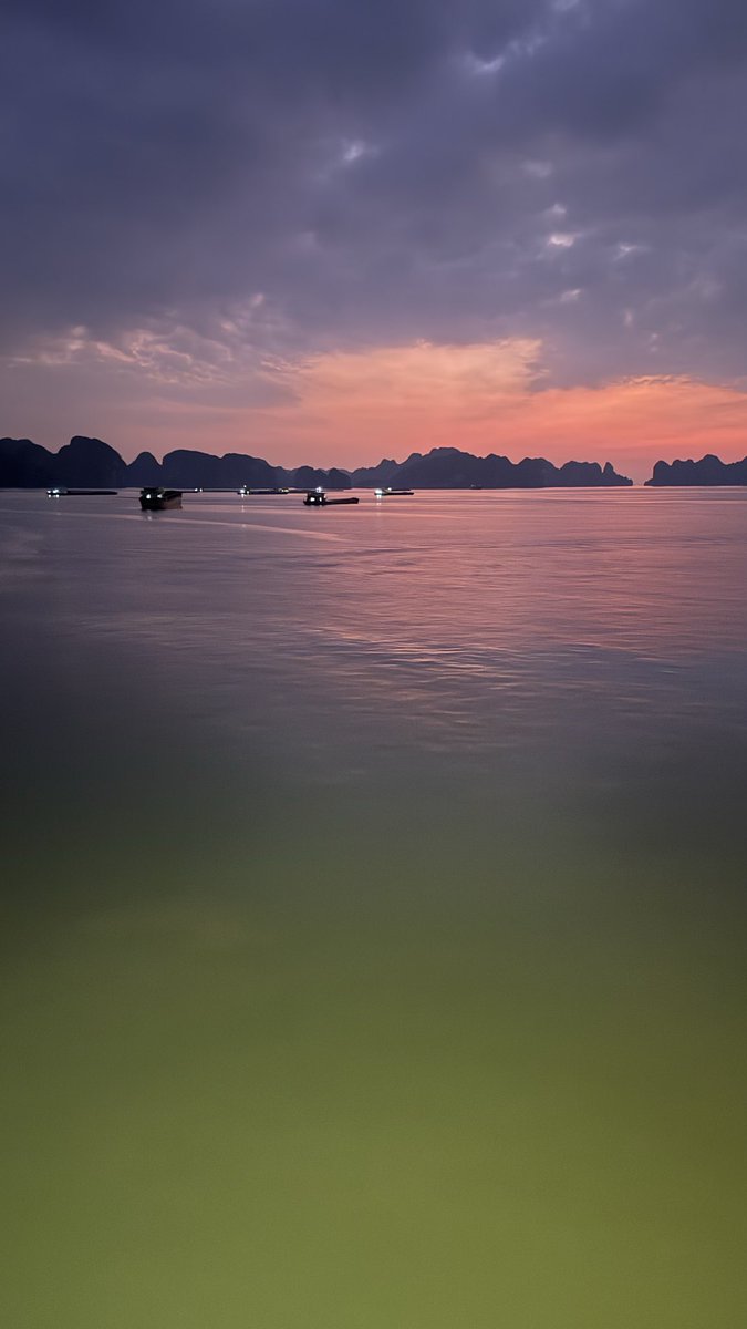 Zilasxo's tweet photo. Vietnam📍🇻🇳 https://t.co/70L2lfGTSZ