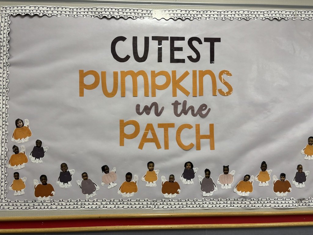 A pumpkin patch has sprouted in the Kindergarten <a href="/sunnyheightsele/">Sunny Heights Elem</a> this fall! #WarrenWill #OURHeights