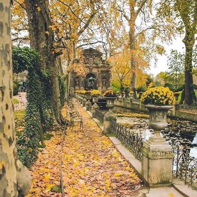 veritebeaute's tweet photo. Douceur automnale et tapis de feuilles jaunies autour de la
fontaine Médicis dans le jardin du Luxembourg - Paris https://t.co/T9XSL9q1I5