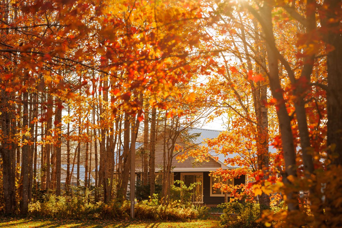 Home at Mill River means waking up to still mornings and unhurried days.
It’s peaceful, it’s beautiful, and it’s exactly where you want to be.
Learn more about life at Mill River and how you can make it home. 👇
bit.ly/3HWCFOM