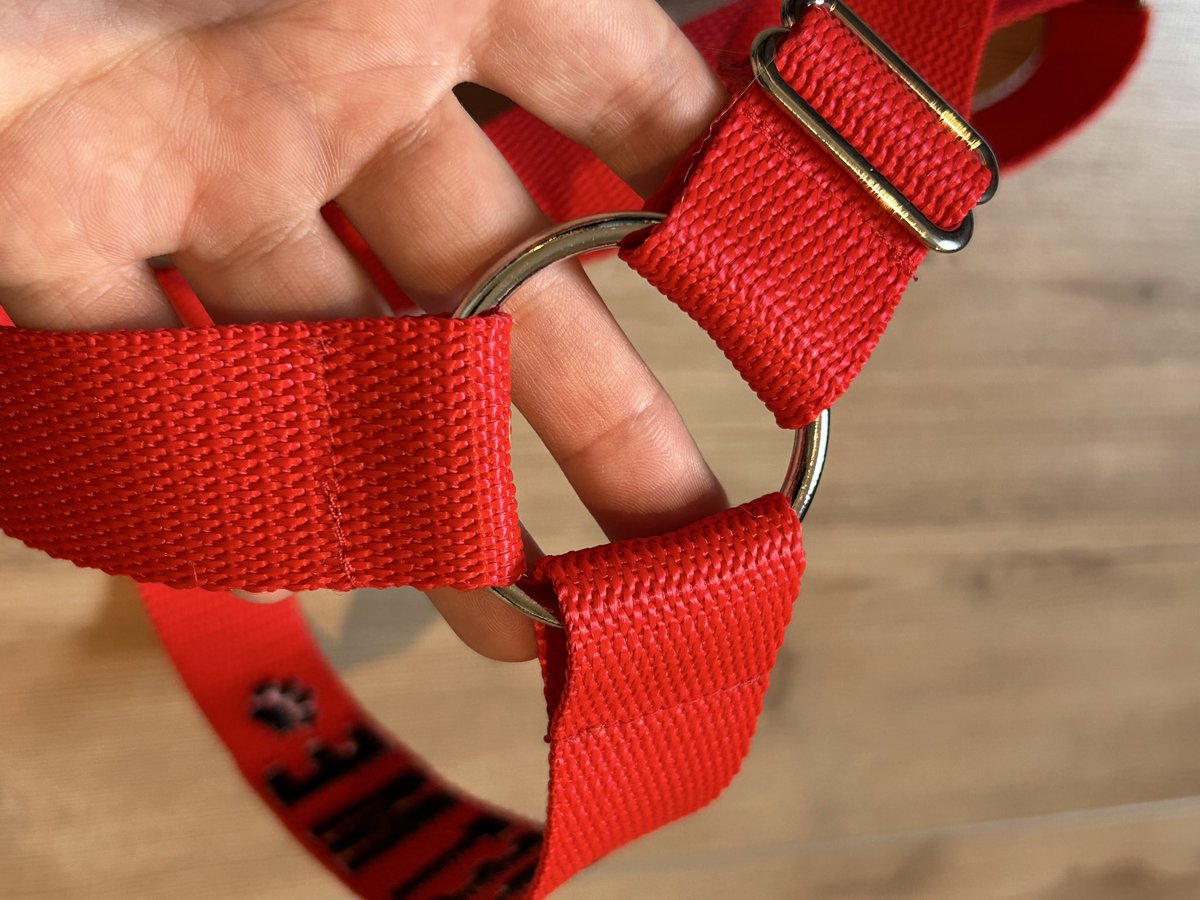 ToonyStuff tweet media