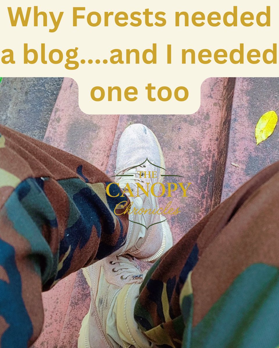 The Canopy Chronicles tweet media
