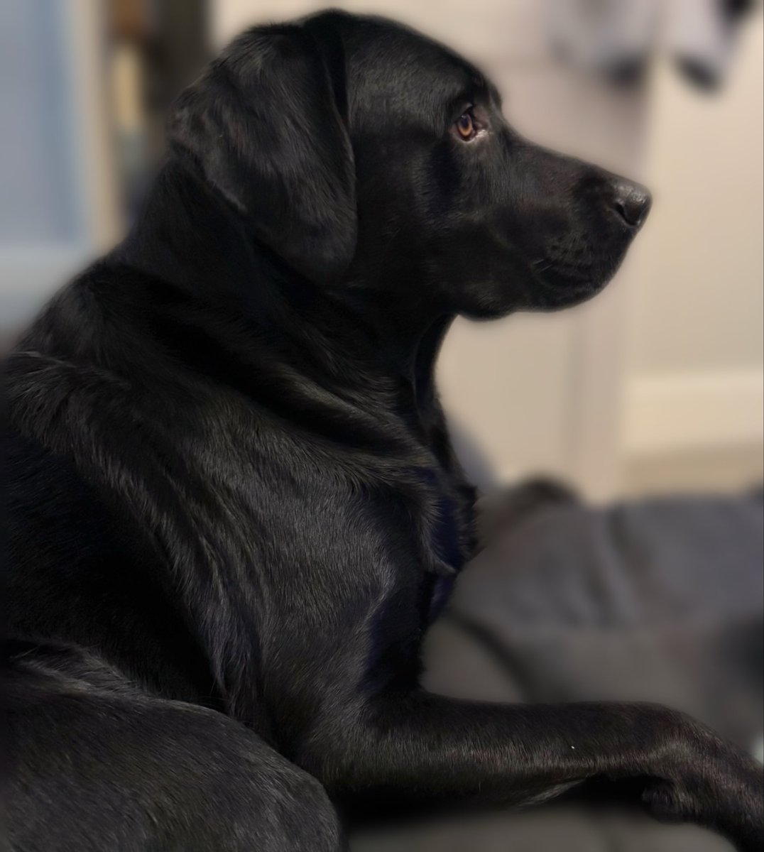 I was out walking my dog earlier and couldn’t stop thinking of Wayne Broadhurst.

He simply wanted to walk his dog.

I spoke to lots of other dog walkers about it and everyone was horrified and enraged.

Wayne Broadhurst is all of us.