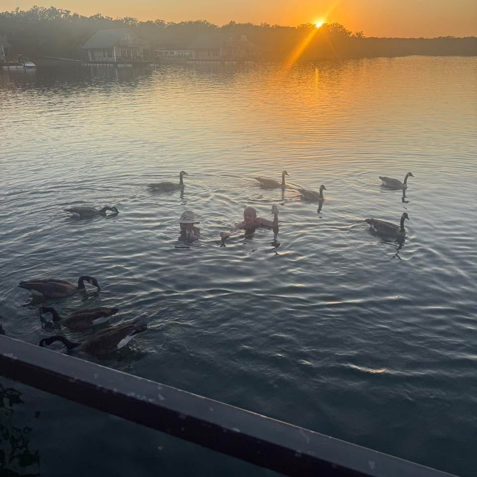 LakeMurrayFC's tweet photo. Geese by day and night here at LMFC! 
(Photo from our guest Kathy Cochran) https://t.co/YW1mHo3aoO