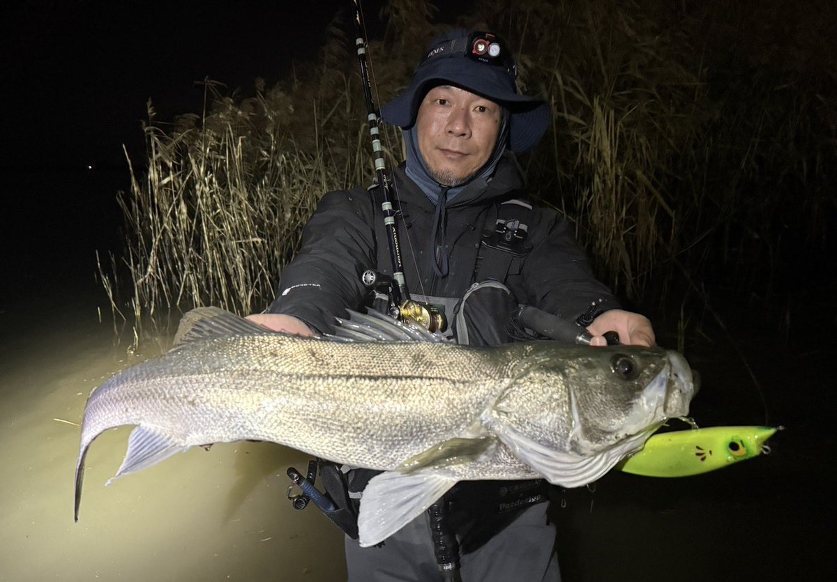 最終値下げ！！リッジライン　キョロキョログランデ　GOD AYU Limited Ridgeline official (@ridgeline_tw) / Posts / X