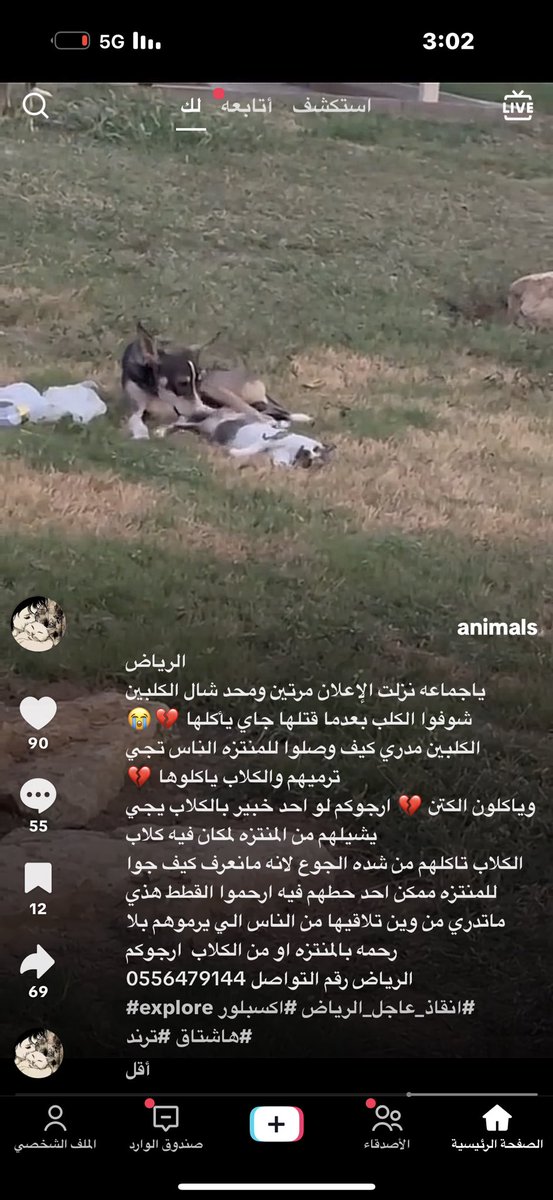 قطط مفقوده وتبني شمال الرياض (@resqueingcats) on Twitter photo 