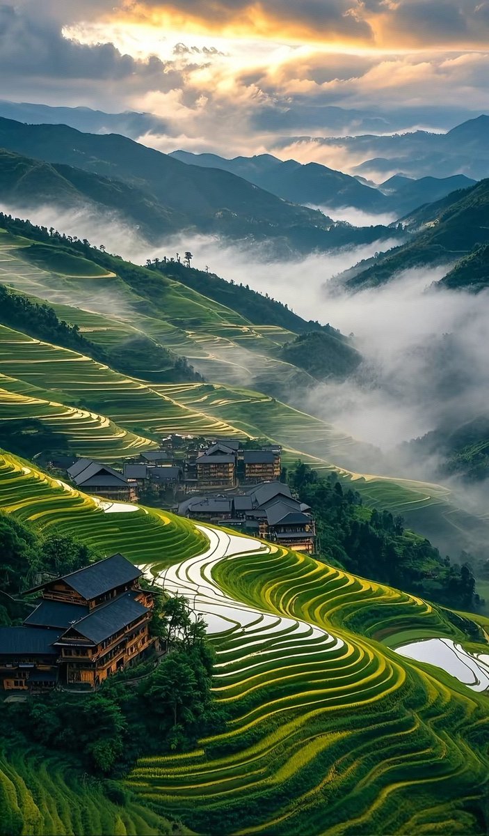 liulian0071's tweet image. 中国广西龙脊梯田︱不愧是“地球的年轮”！目之所及，甚是疗愈。