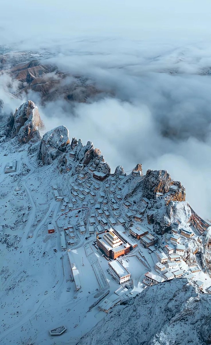 liulian0071's tweet image. 雪顶