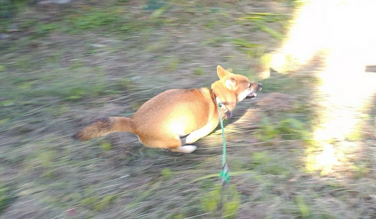 ヨシポン (@0fs57x2138t227j) / Posts / X