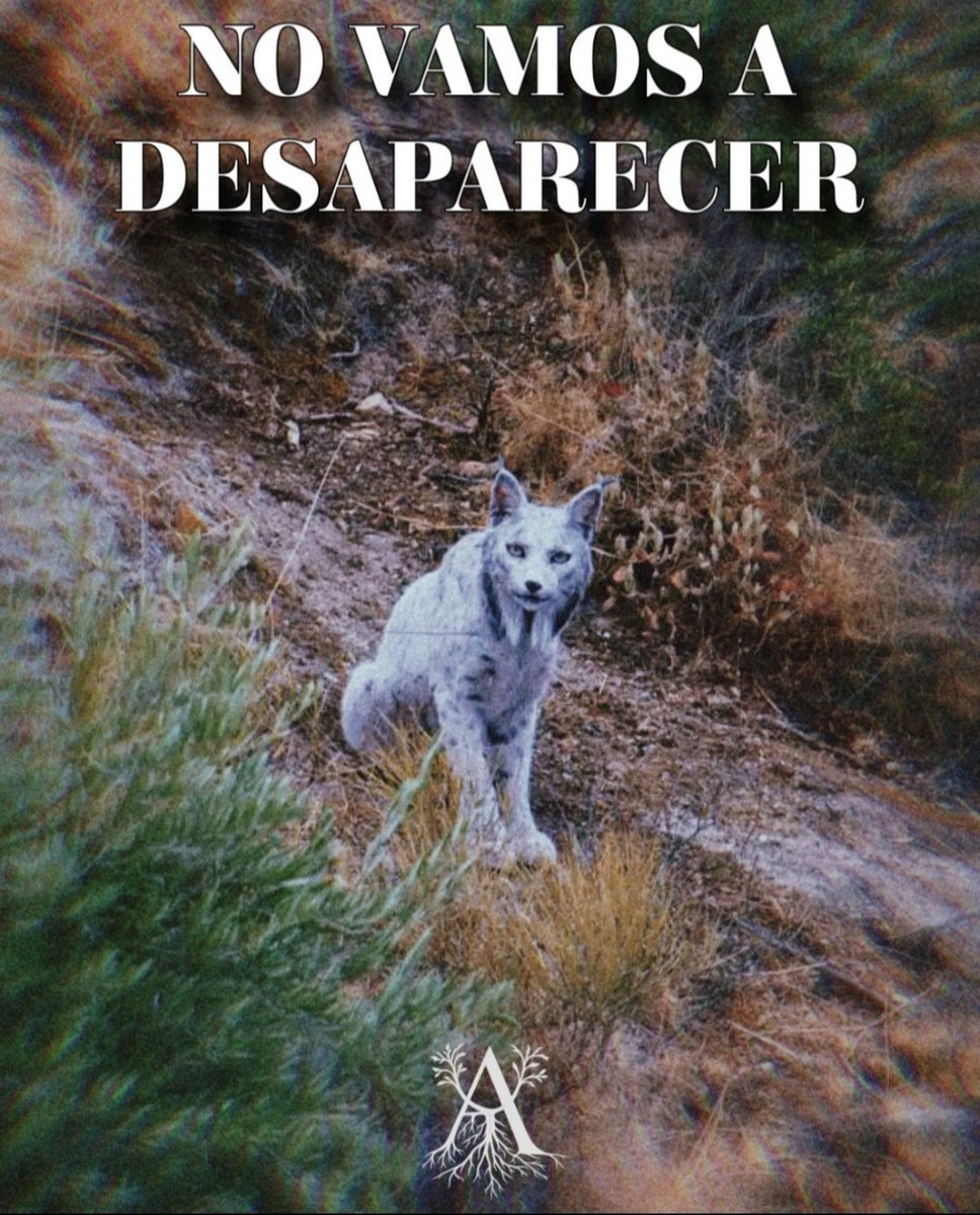 Somos los nietos de aquellos místicos que no lograsteis apostatar.