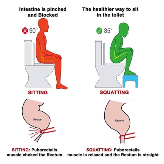 Dunamis_d's tweet photo. Gn ct

Ensure to use the toilet properly when visiting overnight https://t.co/wCMVM70ggz
