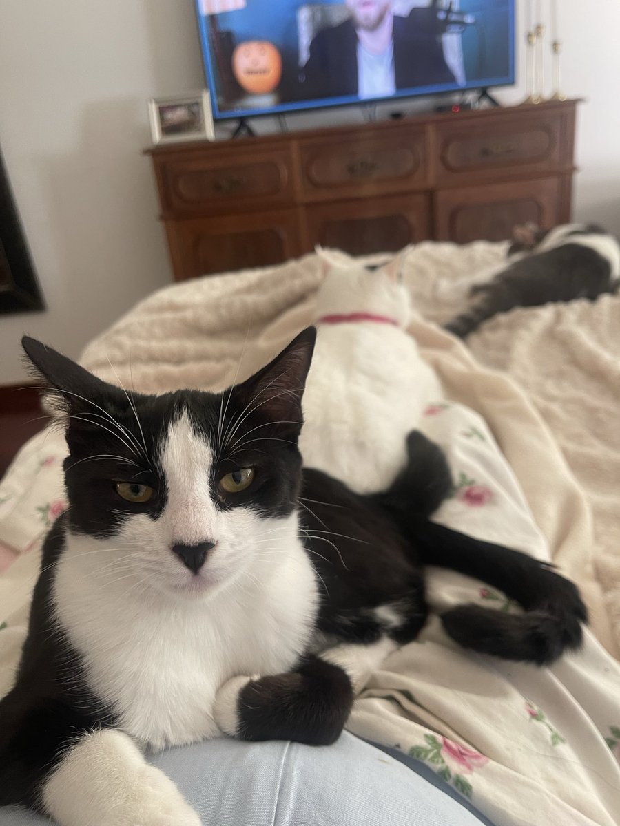 Wordle 1,593 3/6

🟨⬜⬜⬜⬜
🟩🟨🟩⬜🟩
🟩🟩🟩🟩🟩

#Wordle #WordleWonderLeague #Wordle1593