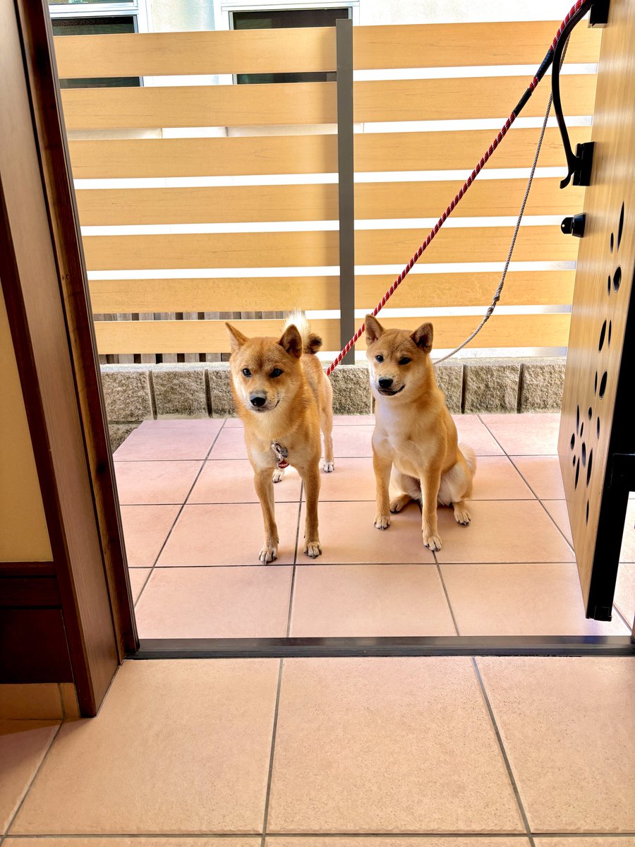 金金兄弟【金太郎and金次郎】 (@kintaro_kinjiro) / Posts / X