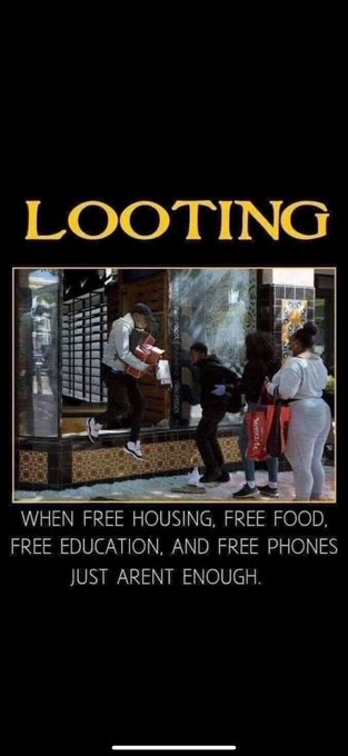 iamanavigator's tweet image. Them again.