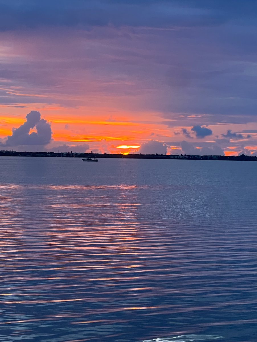 Zilra Glig 🇺🇸 (@zglig) on Twitter photo 