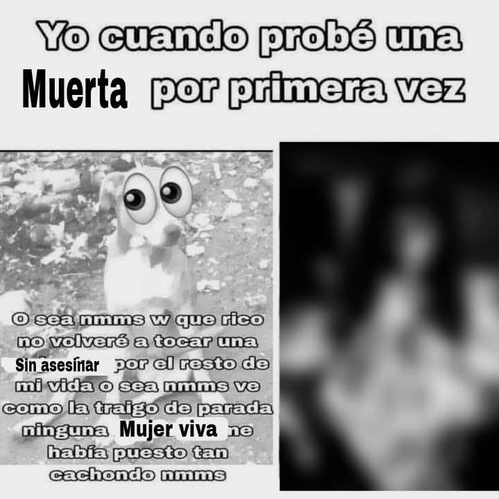 Icebergs Out of Context (@icebergsooc) on Twitter photo 