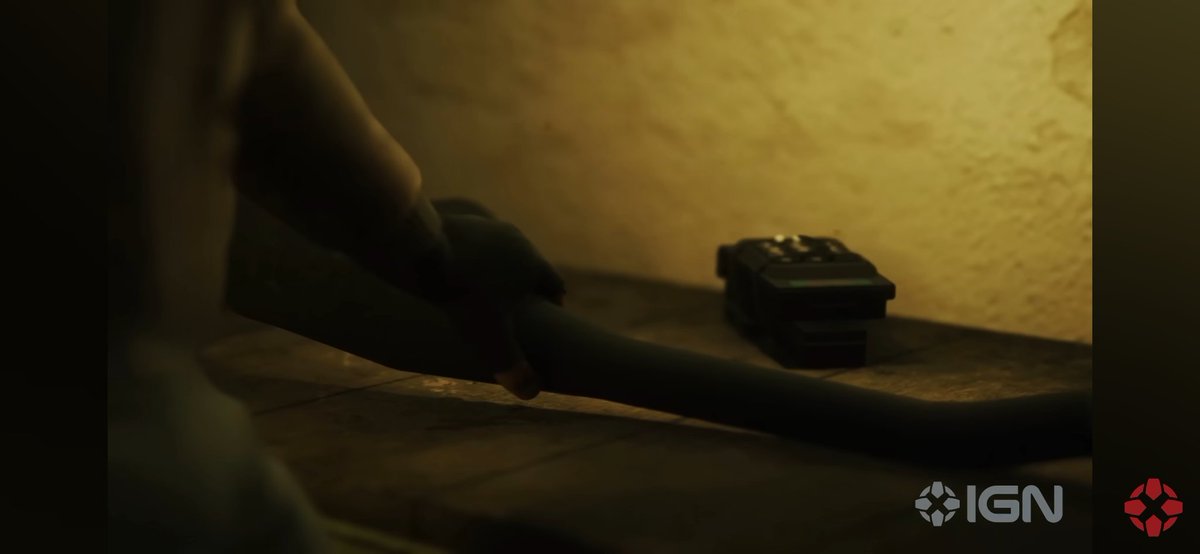 HollyRex tweet media