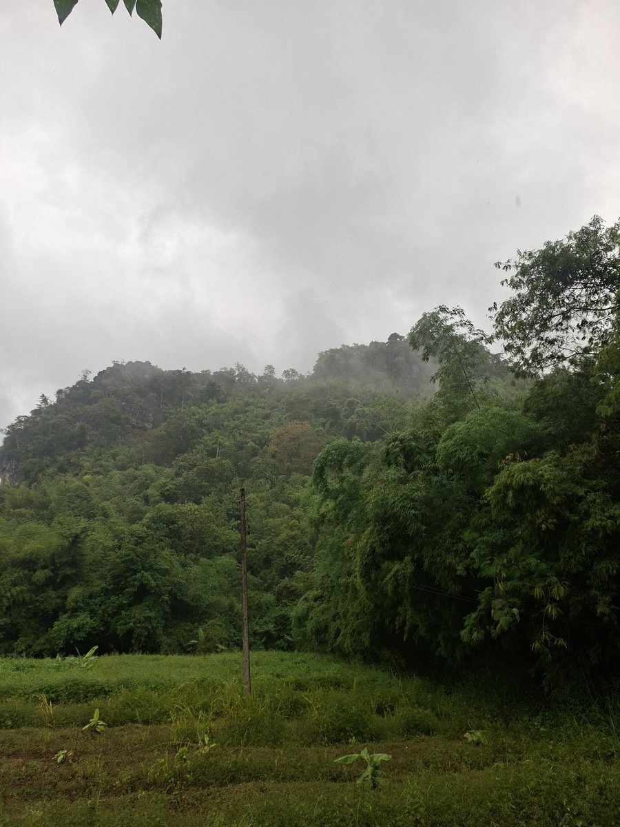 ฝนตกอากาศดีจังวันนี้ ชายเดี่ยว หรือคู่แท้ ทักมาเลย #คู่แท้ชัยภูมิ #ชายเดียวชัยภูมิ #คู่แลกชุมแพ #สวิงภูเขียว #คู่แลกเกษตรสมบูรณ์ #คู่แลกคอนสาร #คู่แลกไม่แลกมือใหม่ #น้ดเย็ดชัยภูมิ ชายเดียวมีค่าใช้จ่าย ทำตามกติกาหน่อย นะ