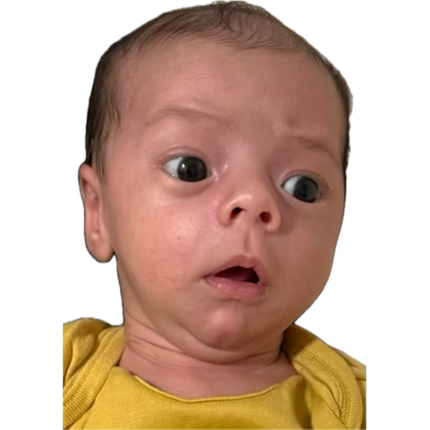 Pete Schauer (@pete_schauer) on Twitter photo 