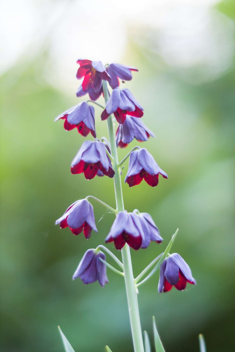 Good morning 🩷🩷🩷🩷🩷🩷
ശുഭദിനം ♥️♥️♥️♥️♥️♥️♥️♥️