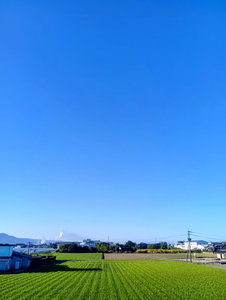 sankohouse's tweet photo. 10月30日（木）晴れ☀️
本日もよろしくお願いします！ https://t.co/m5RF3eMtBu
