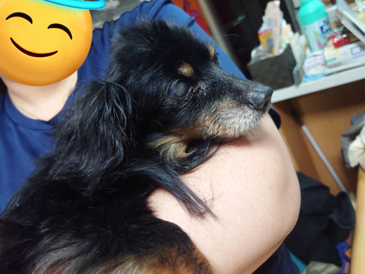 18年間ありがとう。
俺が一人暮らし始まる前までずっと、俺の横にいてくれた。

俺は別のところで頑張ってるよ

俺も60年後にそちらに行くよ。

お疲れ様