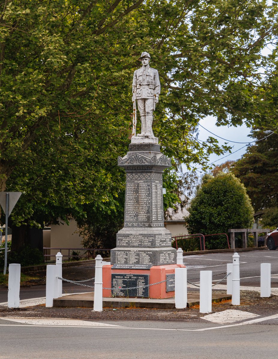 TechnicallyNotAsian tweet media