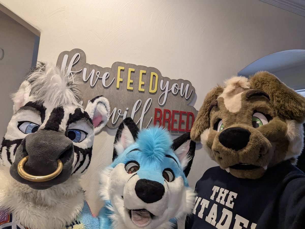 Home and in bed after a wonderful week sliding into the lives and fussing some of the most amazing boys from across the pond.
I am not articulate enough of a fox to truly emphasise how much I tolerate their company and friendship.
Thank you <a href="/Zeebroski/">Zebro!</a> and <a href="/Labraderpy/">Labraderp</a>
 🦊🩵