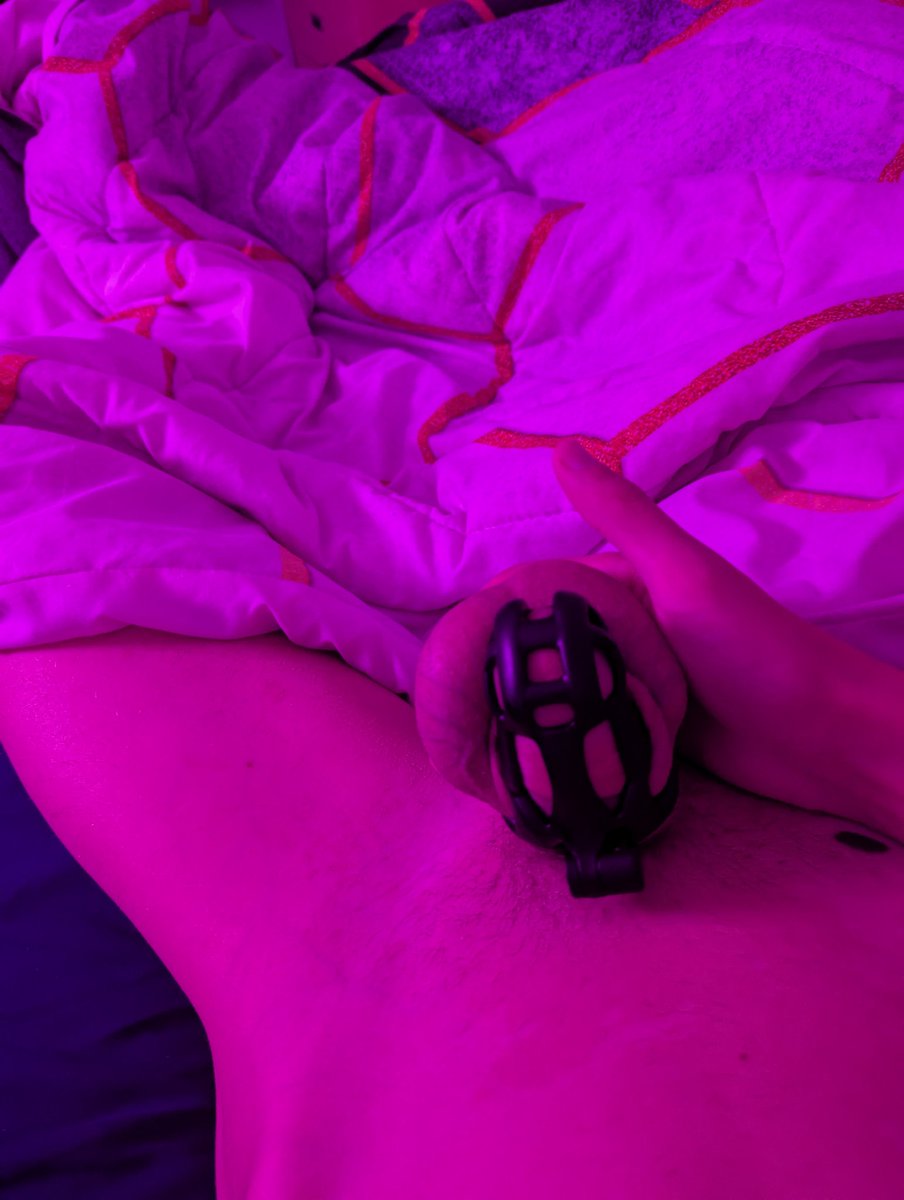 NovaTheD0g's tweet photo. Day 29

Almost there!
More lazy posting cuz I'm really tired today https://t.co/fQSEnQHjGU