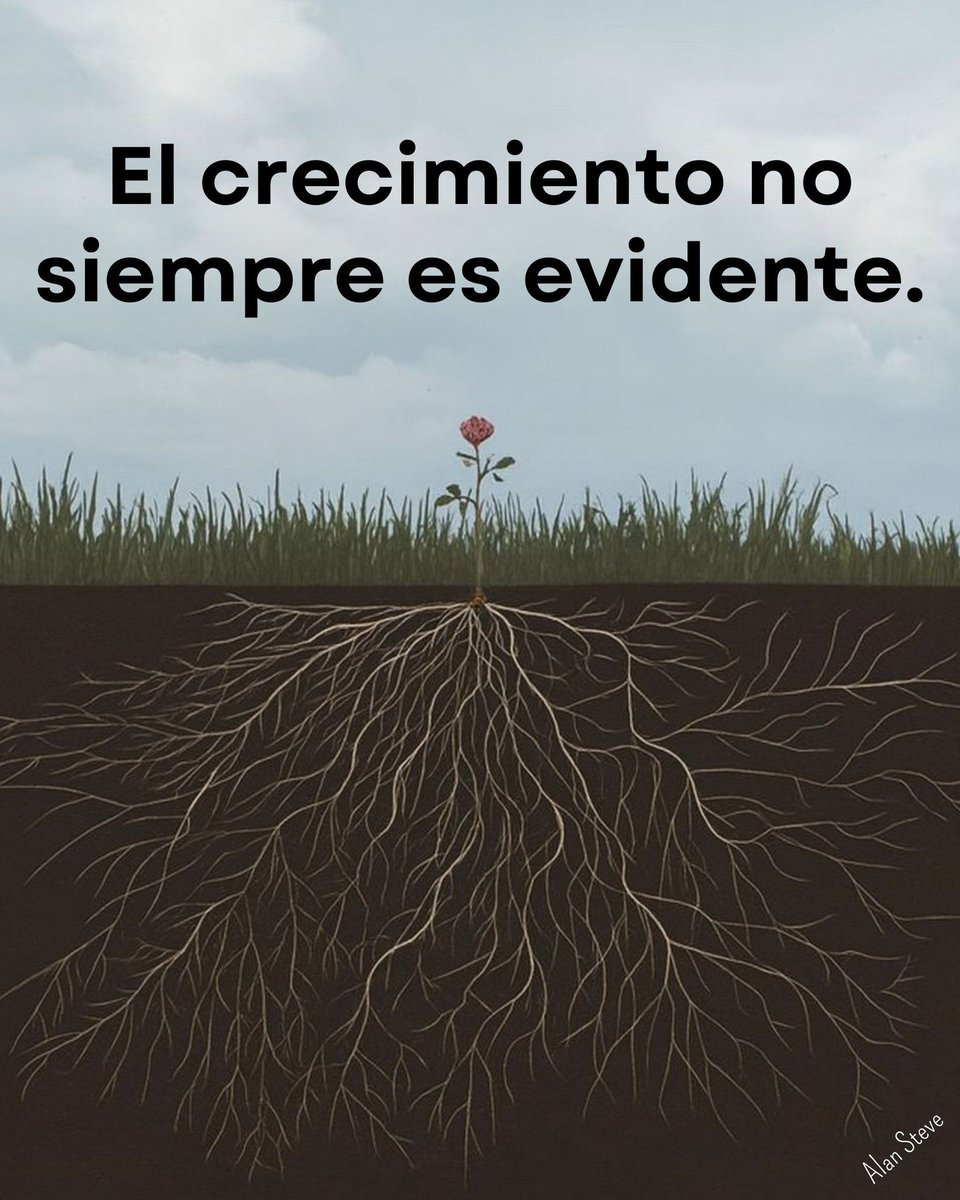 Alan Steve Nájera Cortés tweet media