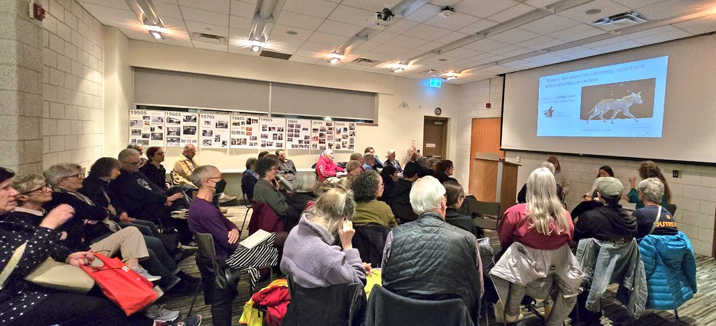 So awesome to join a full house of people learning about Cormorants &amp; Coyotes in #Toronto at Brentwood <a href="/torontolibrary/">Toronto Public Library</a> hosted by Environmentalist in Residence, Carly Davenport 💚🐦🐺 #OurFragilePlanet