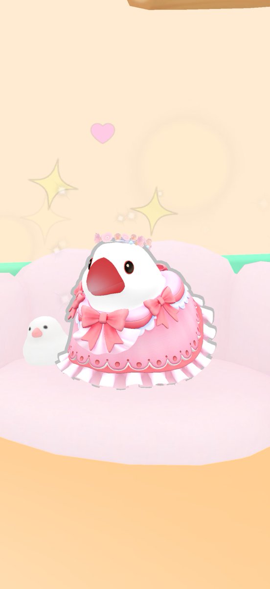 カイ 0歳0ヶ月6日
本日のベストショット📷🍀
#しあわせ文鳥LIFE #文鳥 #文鳥のいる生活