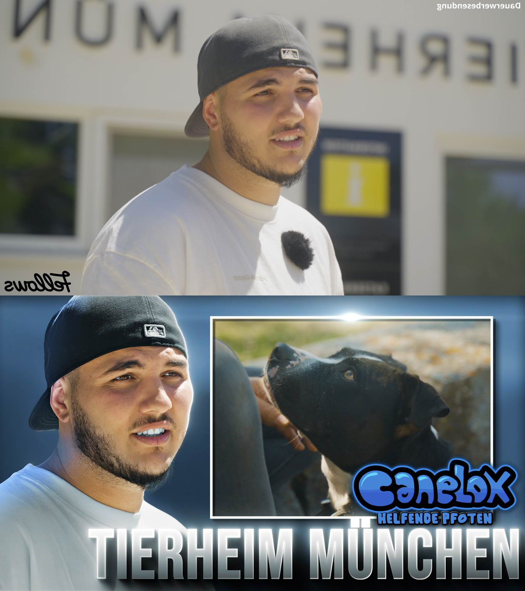 Thumbnail für Shpetim

- Discord: Nanimalo 
- behance.net/nanimalo