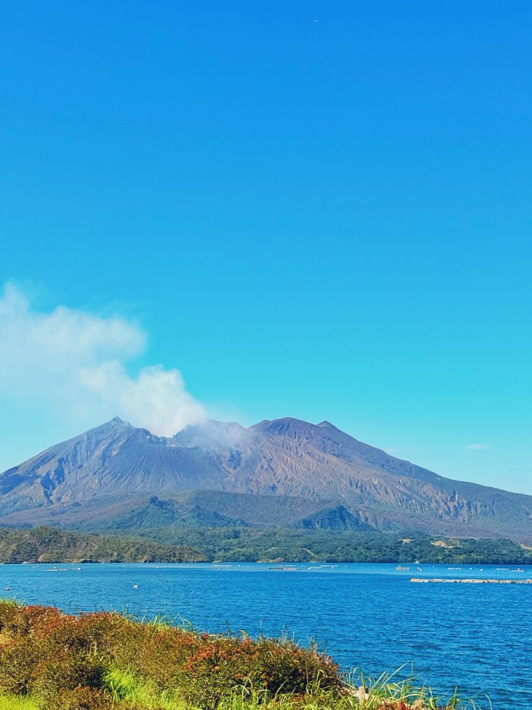 るなページ るな on X