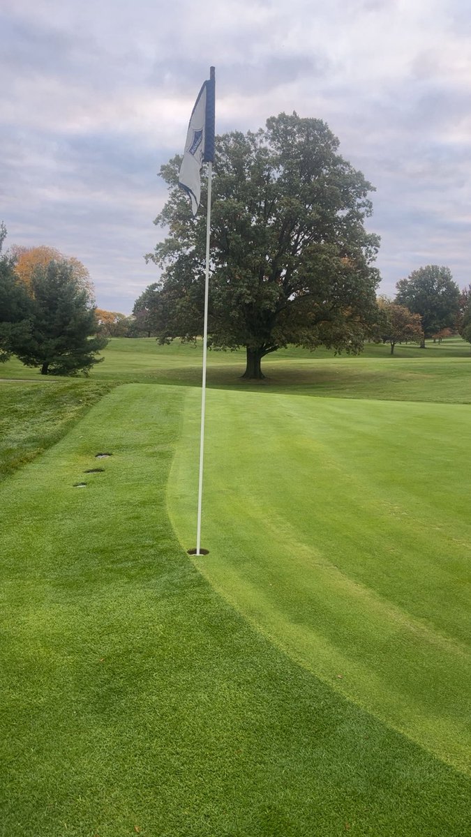 Mahaley Nemtuda tweet media