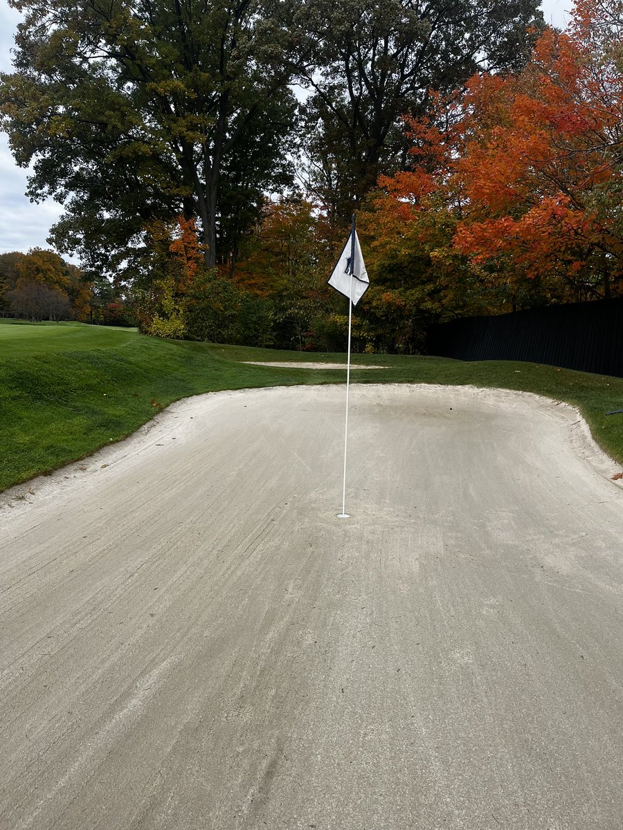 Mahaley Nemtuda tweet media