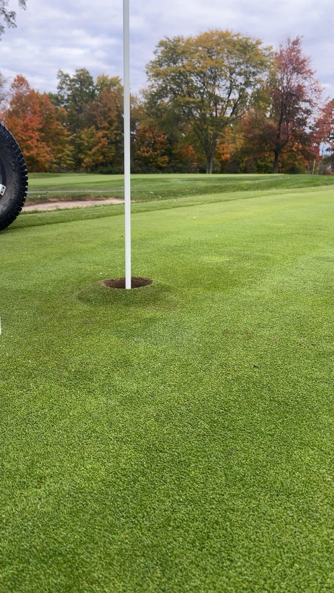 Mahaley Nemtuda tweet media