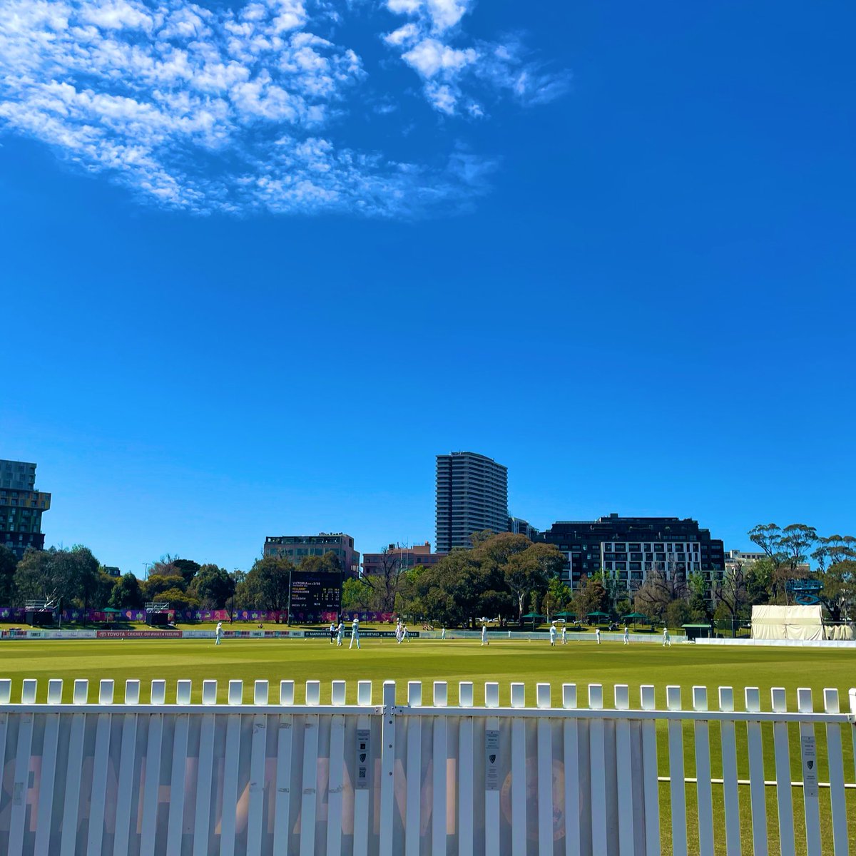 ktrimpie tweet media