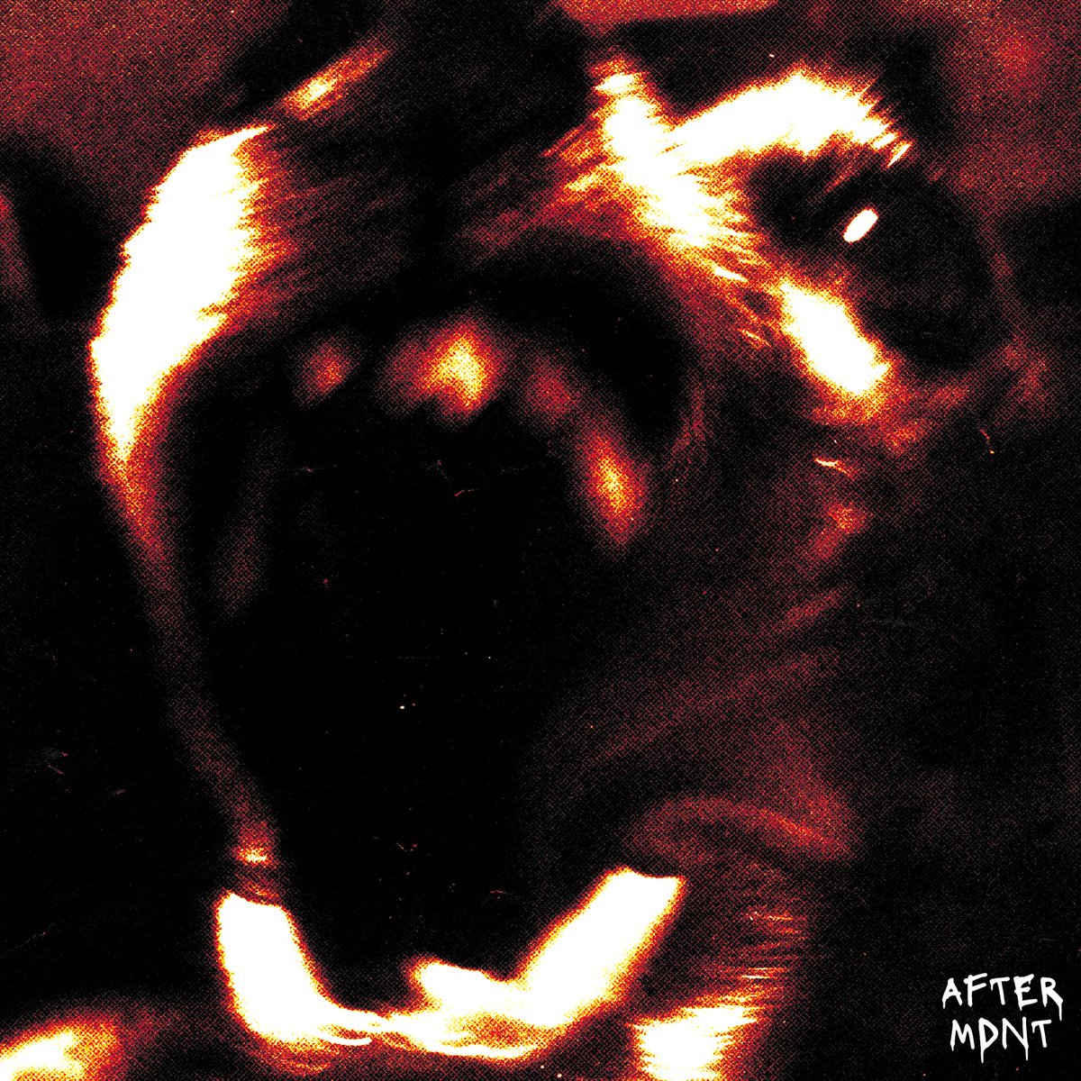 Official cover art for my new single “WHO IS YOU” available everywhere @ midnight. #aftermdnt 🌕