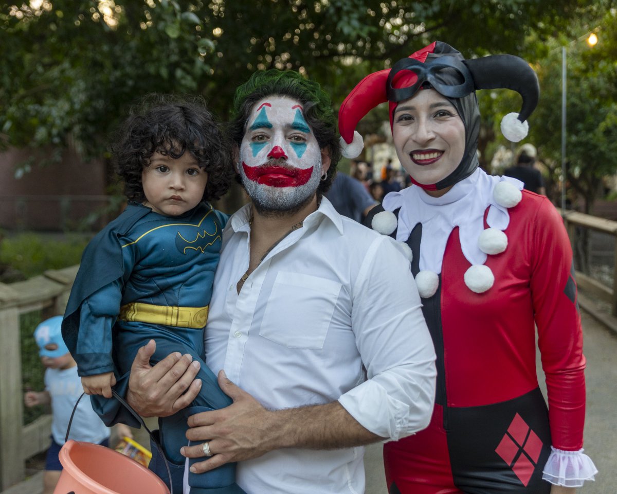 We can't wait to see all the creative costumes at #BooattheZoo this year!
Get your tickets at gpz.org, or if you're a Zoo Member, pick up your free tickets at the Membership Office.

#GPZoo #BATZ2025 #Halloween