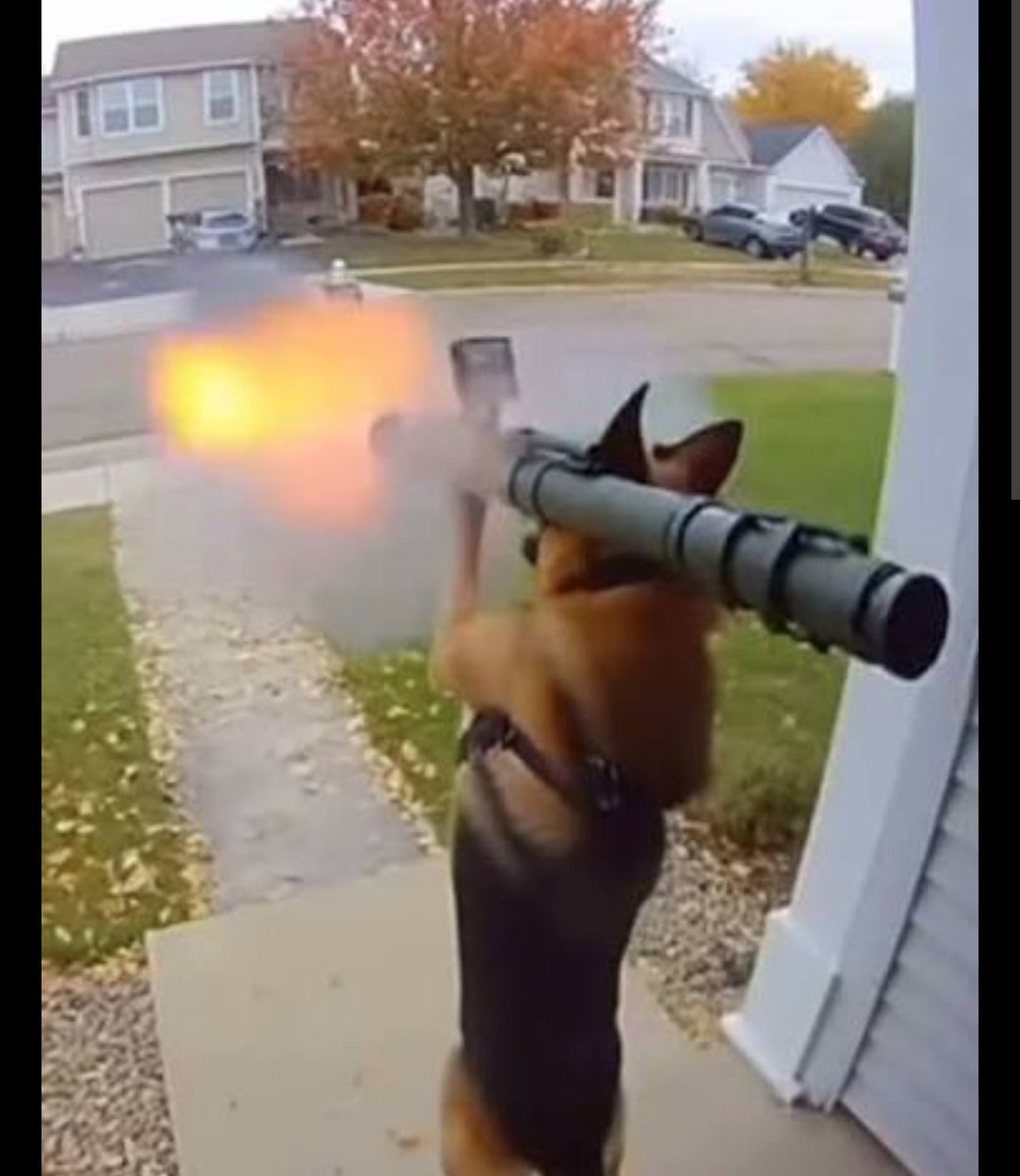 llm_wizard's tweet image. This is my favourite description about this video I've ever read.
From one of the finalists from the World's Shortest Hackathon from @NVIDIAGTC - incredible work.