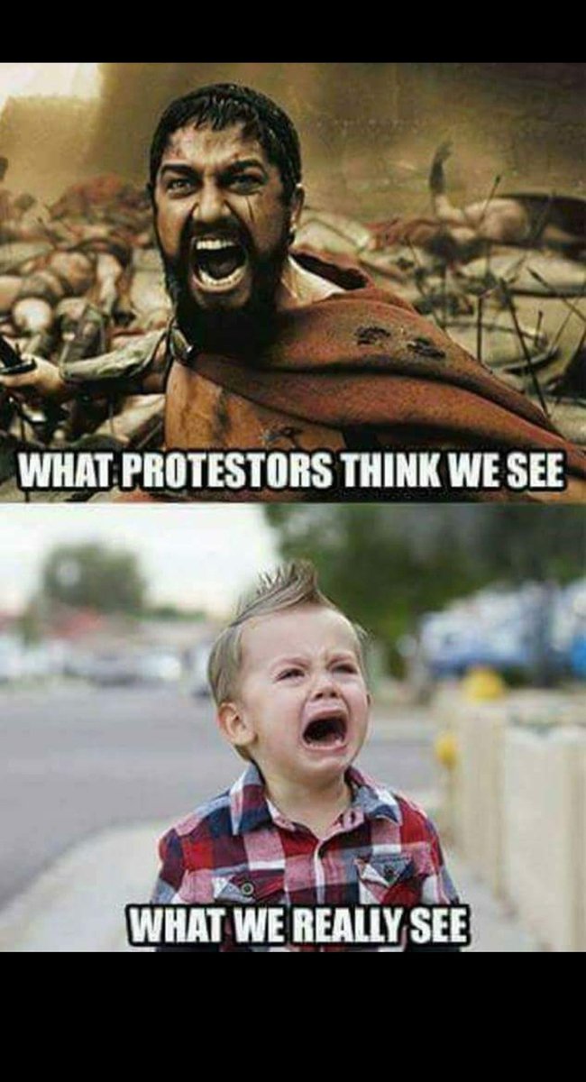 M. E. Sundqvist tweet media