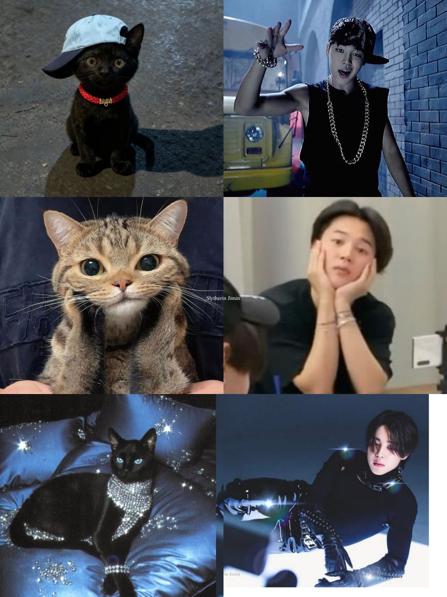 jimin_lil_devil's tweet photo. Happy national kitty day 🐈🐥 https://t.co/e4D3WpobP2
