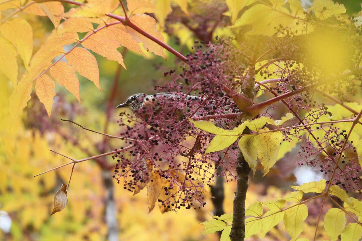 John@TheNews (@johnatthenews) on Twitter photo 