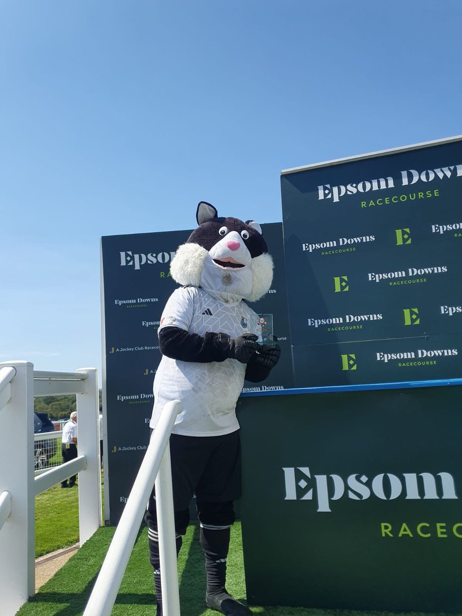 The Brig Cat tweet media