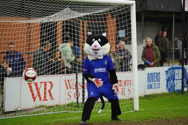 The Brig Cat tweet media