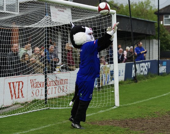 The Brig Cat tweet media