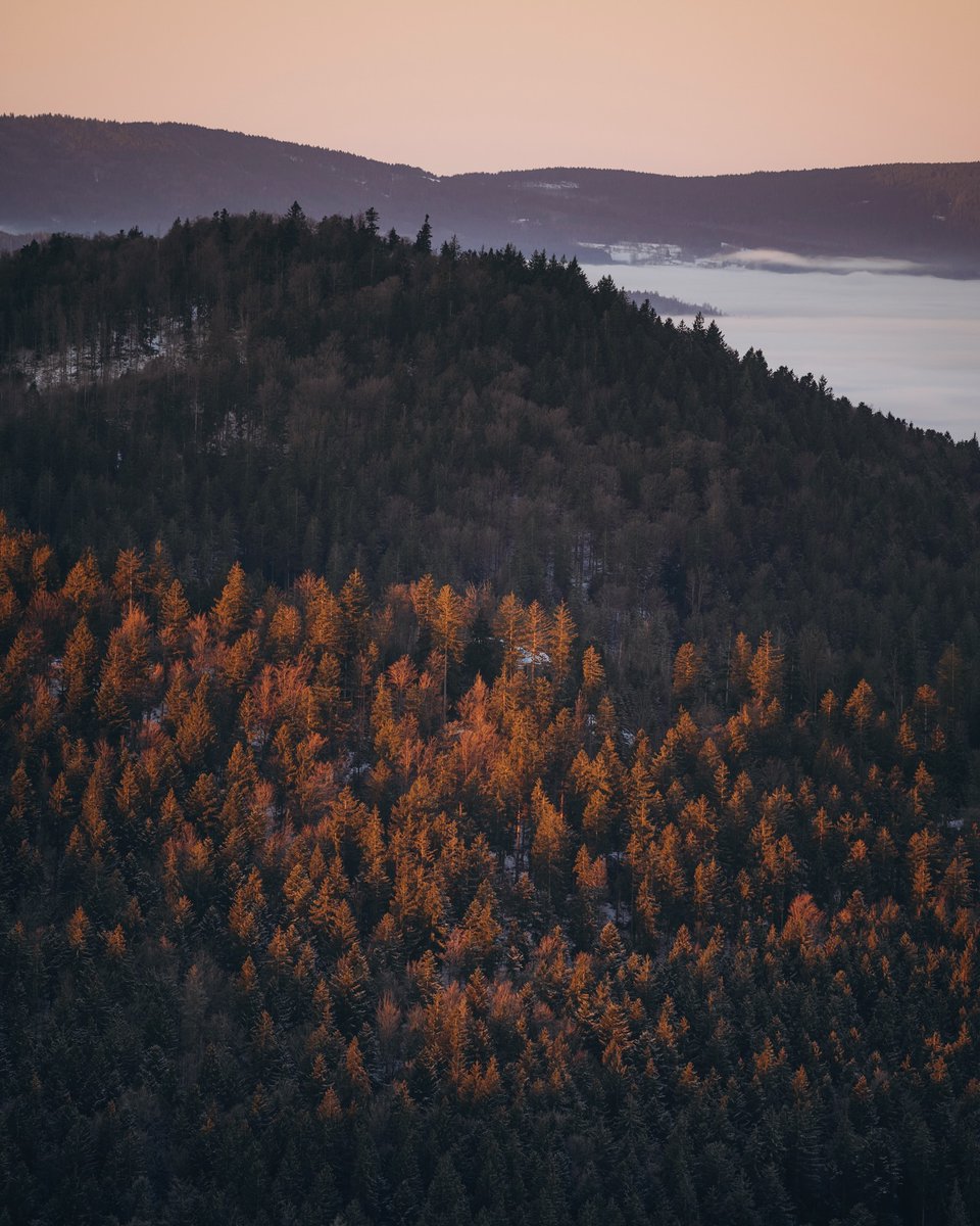 MathysRegis's tweet photo. The mountain breeze drifts gently by, while mist curls around the peaks, wandering through the valleys like a dream.

#MountainMist #MistyPeaks #MorningView #NatureBeauty #SoulHealing #PeacefulMoments
#MorningMountains #PoeticLife #MountainWalk #EscapeTheNoise https://t.co/8FMGVhkfg4