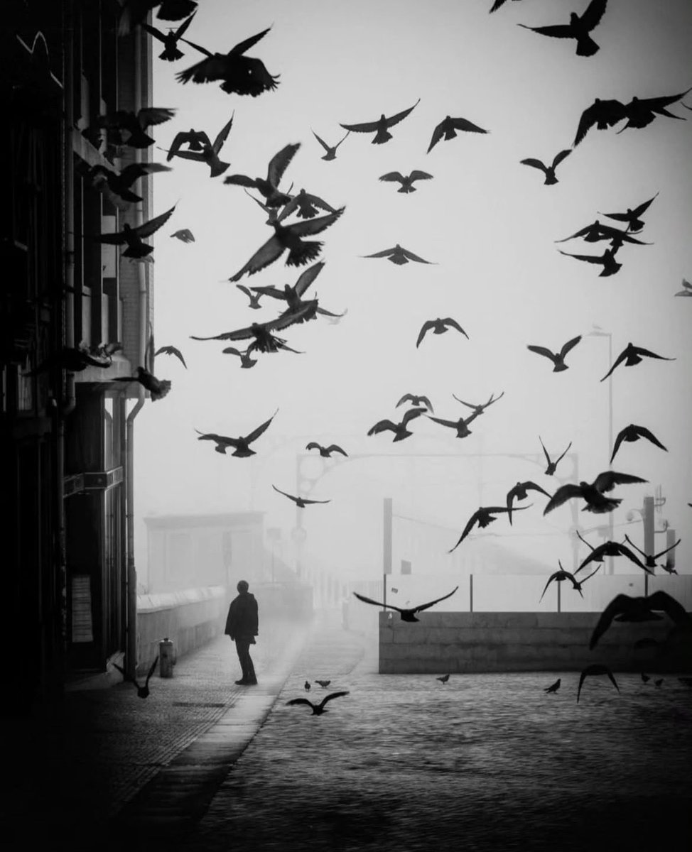 Porto, Portugal 🇵🇹